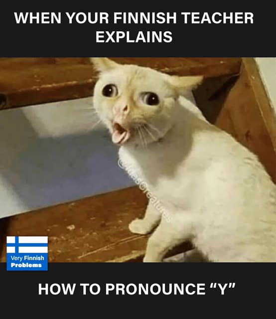 Cat pronouncing the letter Y